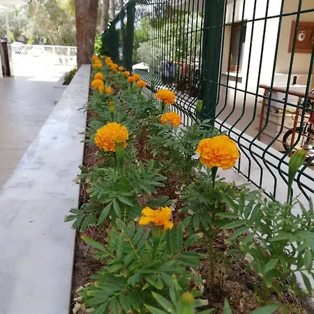çıçek * Didim